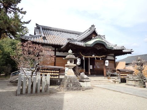 ③P3070088