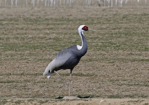F00A2276