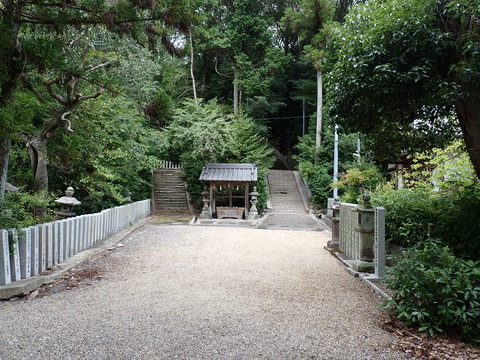 ⑤P8177577