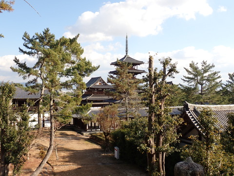 ⑦P1033462