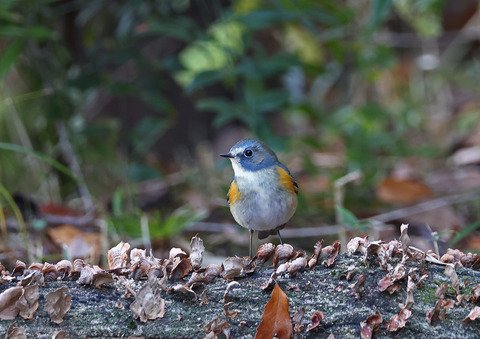 308A4938ｂ