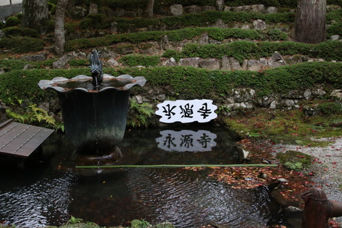 F00A0921