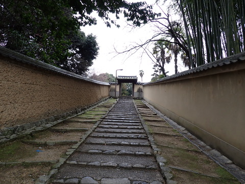 ④P2040026