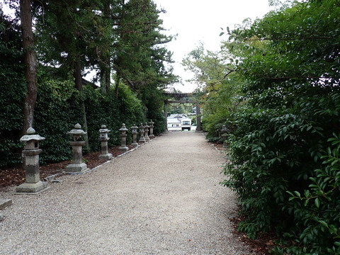 ④P8177575