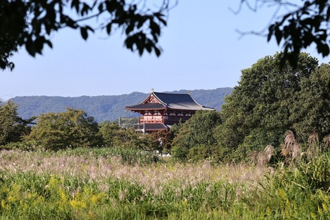 ③308A3238