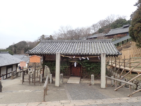 ④P3133767