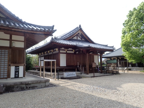 ③P4287229