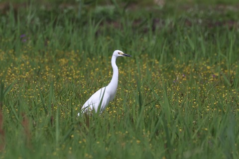 308A8909