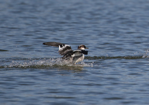 F00A7748