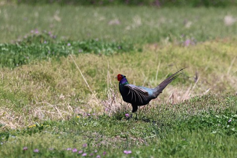 ⑥308A0150