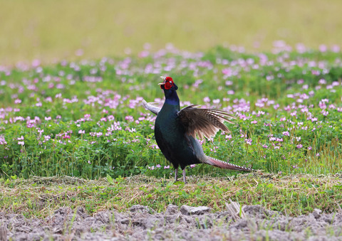 308A8716s