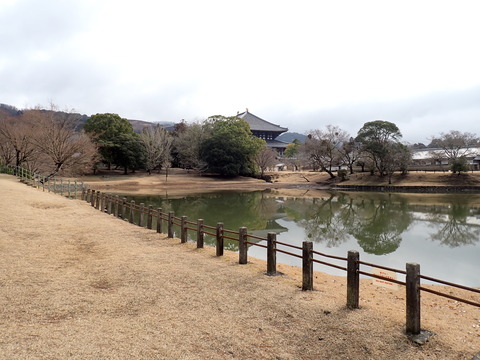 ⑤P2040018