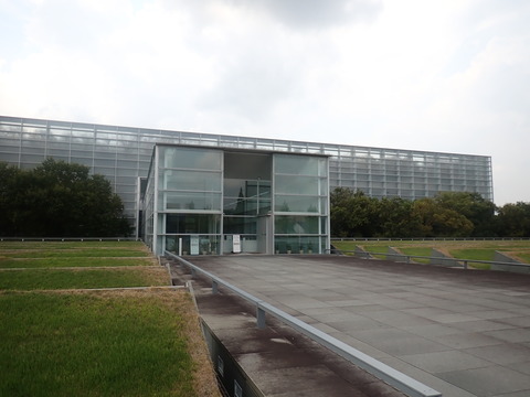 ⑥P8255661