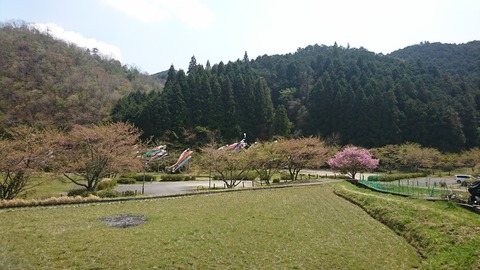 宇陀市DSC_8728b