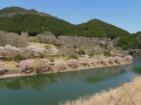 ④P4124025