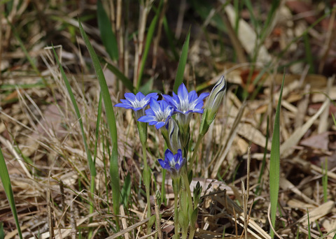 308A9532①