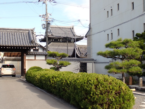 ③大光寺PC240029
