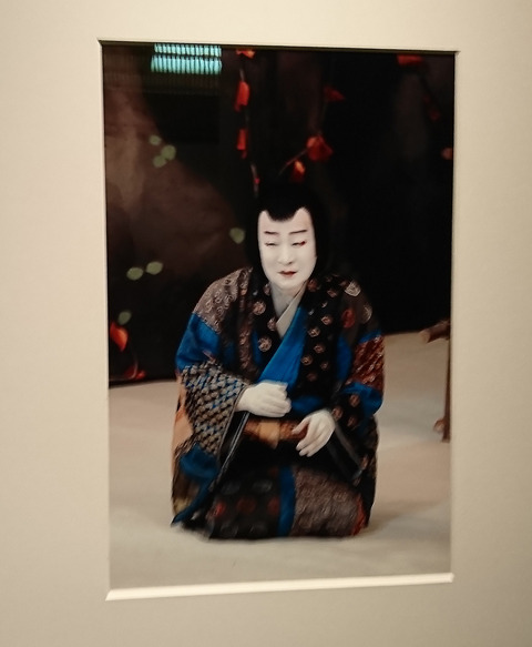 DSC_8732b