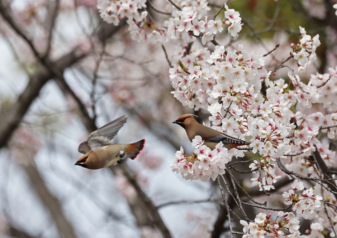 308A8557⑦