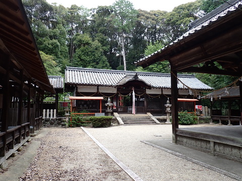 ①P8177581