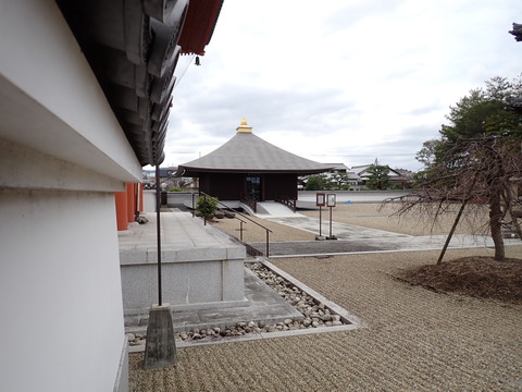 ③P3070008
