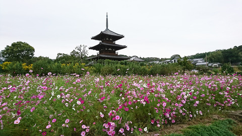 DSC_0174法起寺