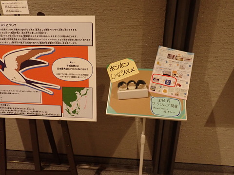 ⑧P7284433