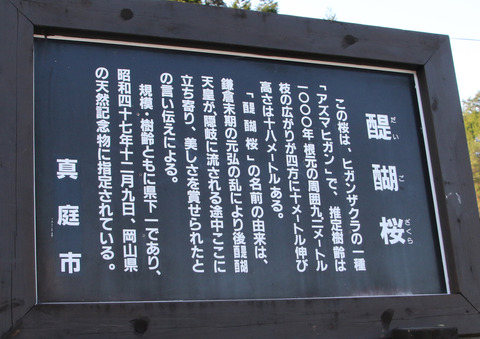 F00A0375
