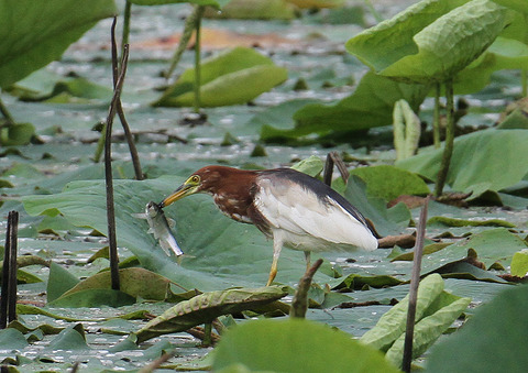 IMG_8686