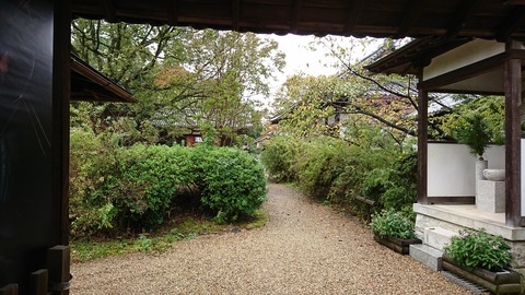 海龍王寺DSC_0153