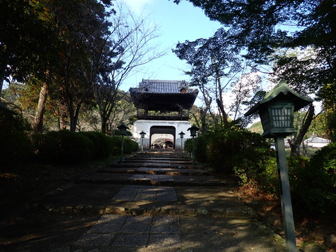 ⑥PB222971