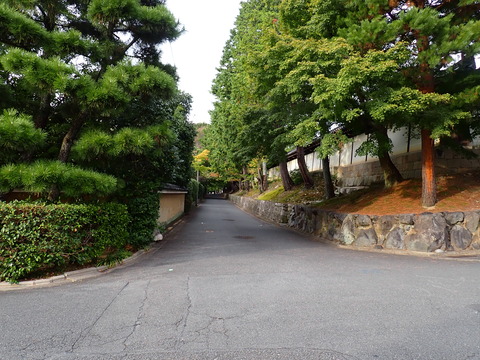 ⑧PA251952