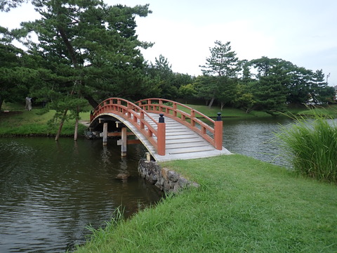 ③P8114549