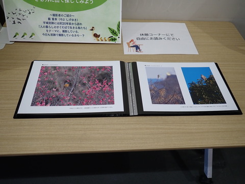 ⑥P2246627
