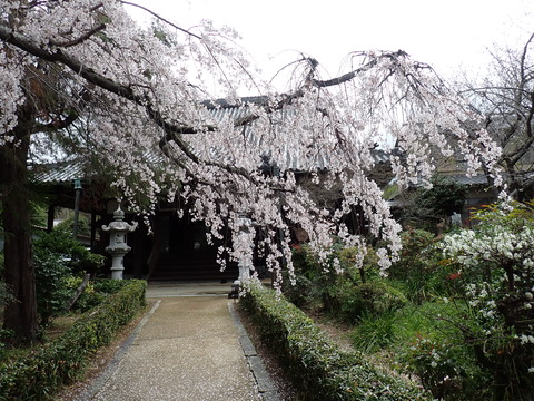 ③P3316909
