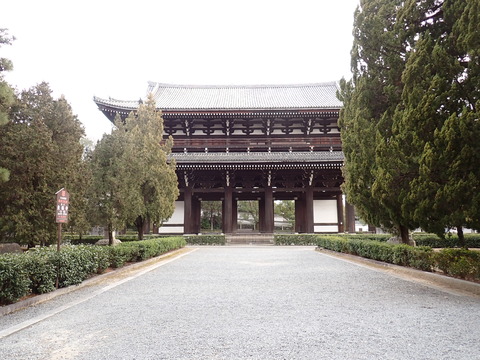 ⑤P2246637
