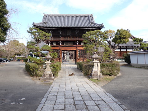 ⑤頂妙寺PC240037