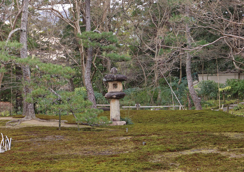 308A8666⑥