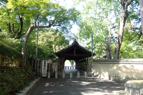 ③P4167205