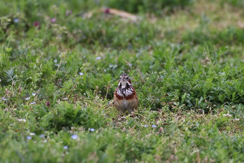 ④308A4308