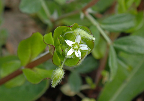 P3140174