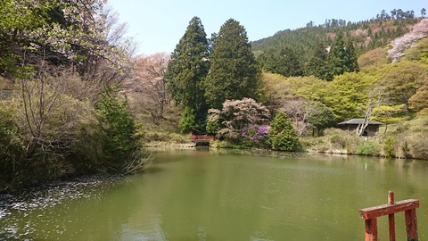 DSC_8734b