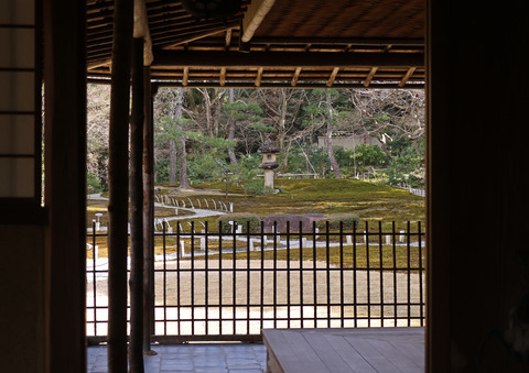 308A8645⑧