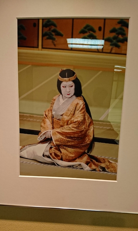 DSC_8734b