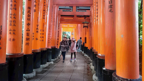 DSC_0511伏見稲荷大社