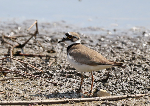 F00A3214