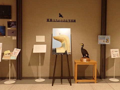 ①P7284417
