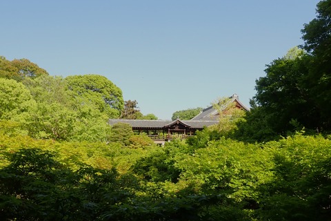①P4167209