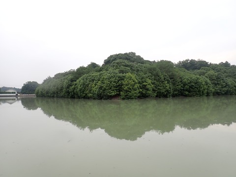 P7017337