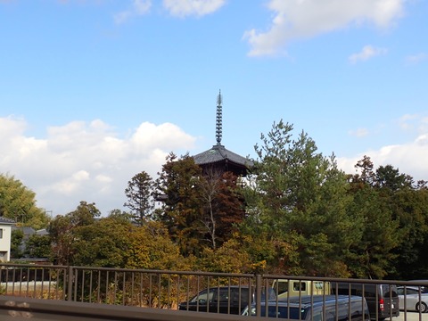 P1033445